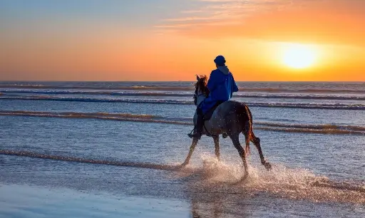 Horseback Riding in Agadir